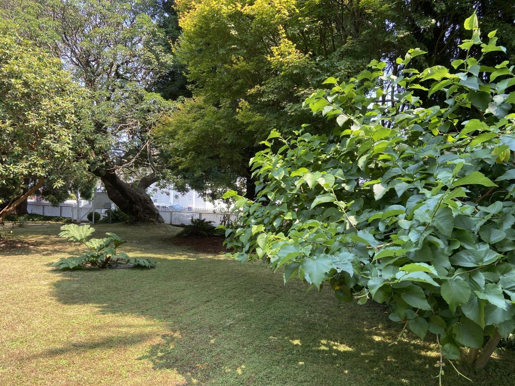 Shaw House Inn 芬代尔 外观 照片